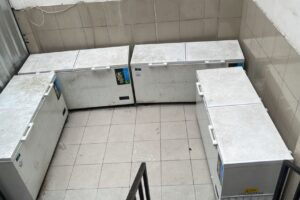 WhatsApp Image 2024-06-08 at 23.54.03_f9d1dcaf WhatsApp Image 2024-06-08 at 23.54.03_f9d1dcaf